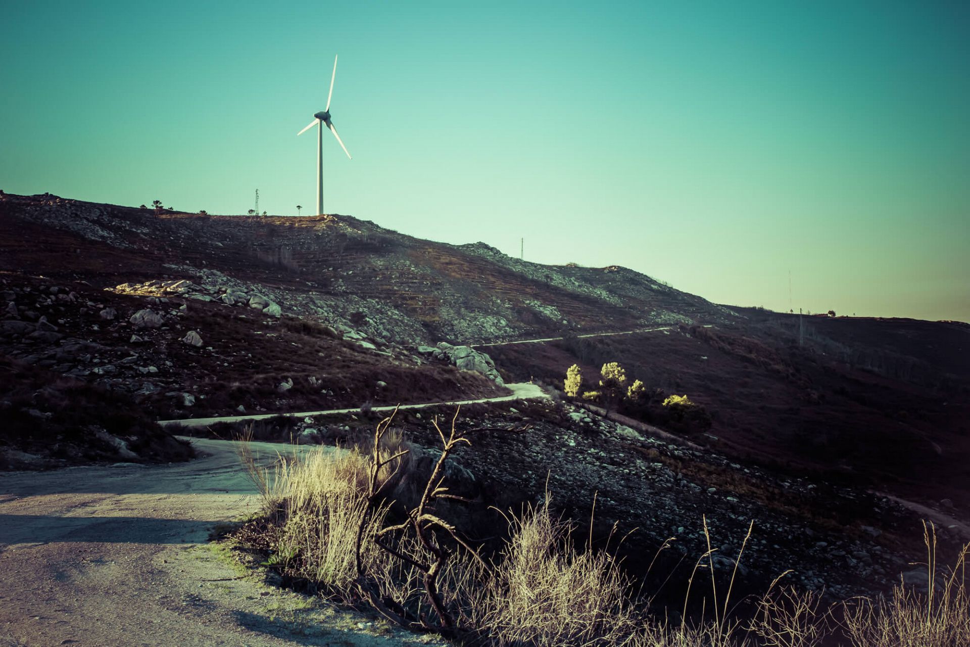 Pavimentação e construção em solo-cimento.